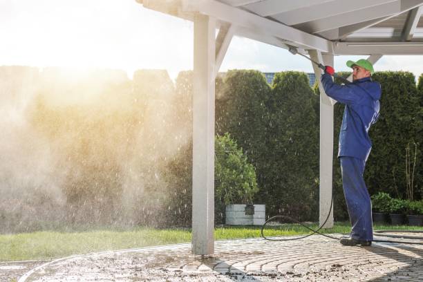 Best Driveway Pressure Washing  in Fruitport, MI