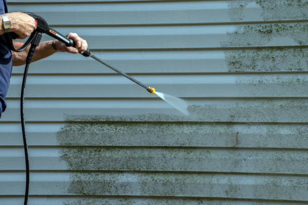 Best Post-Construction Pressure Washing  in Fruitport, MI